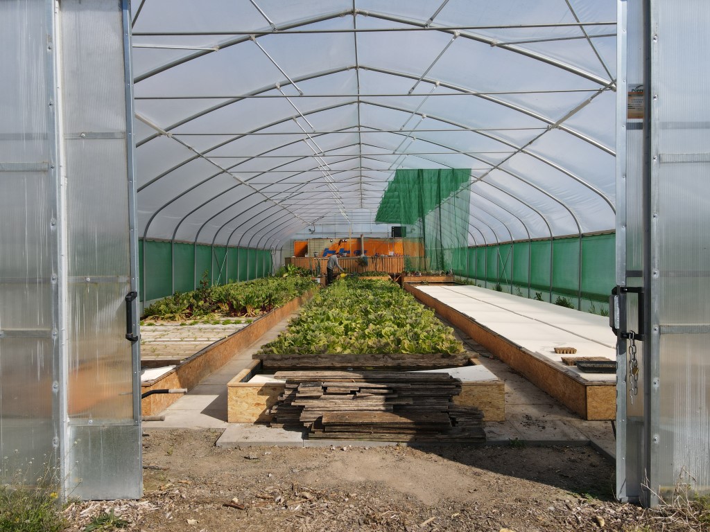 Testanlage-Gewächshaus